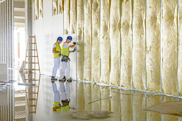 Best Insulation Maintenance and Repair in Springville, NY
